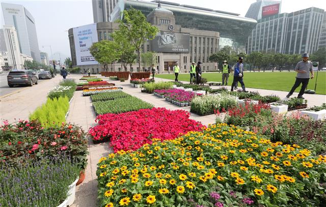 ‘형형색색’ 여름꽃 단장하는 서울시청 광장 