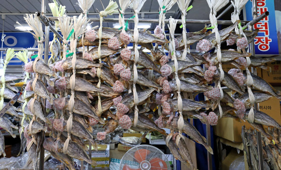 마이크 위생 덮개 씌워진 굴비