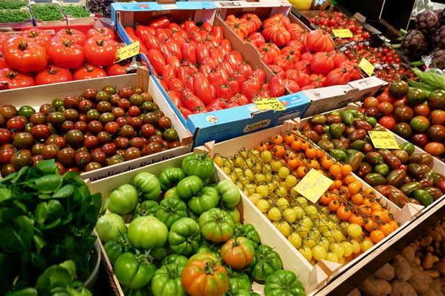 독일 프랑크푸르트의 시장 클라인마르크트할레 등 세계 곳곳에서 만날 수 있는 토마토는 2만여종이나 된다. 강렬하고 싱그러운 향을 가진 토마토는 껍질과 과육, 즙 제각각 훌륭하게 쓰인다.