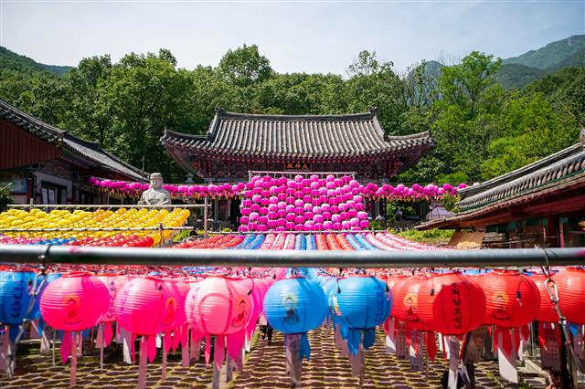 부처님오신날 경내 가득한 연등