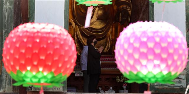 ‘연등 사이로 간절히 합장하는 불자’