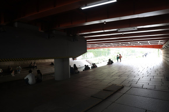 그늘을 찾는 계절