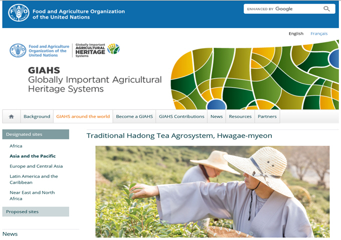 국제연합식량농업기구 홈페이지에 게시된 하동녹차 