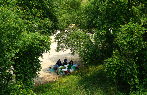 현충일인 6일 시민들이 무더위를 피해 경남 창원시 동읍 본포수변생태공원을 찾아 낙동강변 나무 그늘 아래서 더위를 식히고 있다. 2020.6.6  연합뉴스