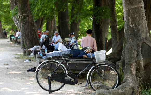 한여름 못지않은 더위가 연일 이어지고 있는 8일 오후 전남 담양군 죽녹원 인근 관방제림에서 시민들이 휴식을 취하고 있다. 2020.6.8  연합뉴스