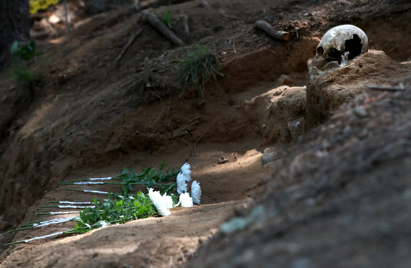 8일 오후 강원 화천군 하남면 서오지리 내 6·25 전사자 유해발굴 현장에 국화가 놓여 있다. 2020.6.8  연합뉴스