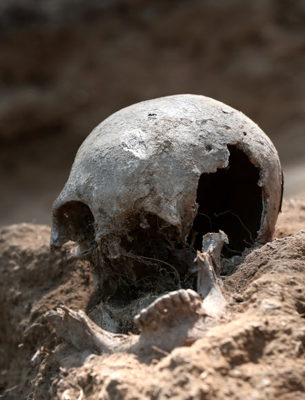 8일 오후 강원 화천군 하남면 서오지리 내 6·25 전사자 유해발굴 현장에서 신원을 알 수 없는 두개골이 공개되고 있다. 2020.6.8  연합뉴스