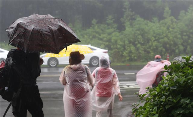 올해 첫 장맛비가 내리는 10일 오후 제주 사려니숲길에서 우비를 쓴 관광객들이 여유를 즐기고 있다. 현재 기상청은 이 비를 시작으로 우리나라가 장마철에 들어가는 것으로 보고 있다. 이는 지난해와 비교해 15일 가량 이른 것이다. 2020.6.10 뉴스1