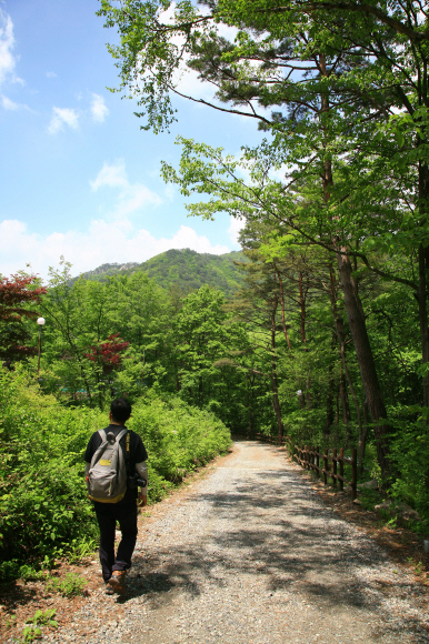조령관에서 조령산자연휴양림으로 내려가는 산책로. 한국관광공사 제공