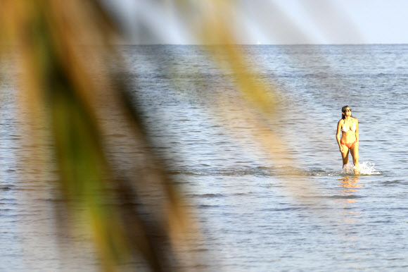 미국 플로리다 주민이 10일(현지시간) 코로나19 여파로 3개월여 문을 닫았다 재개방한 마이애미 비치 바닷가에서 수영을 즐기며 휴식을 취하고 있다. AP 연합뉴스