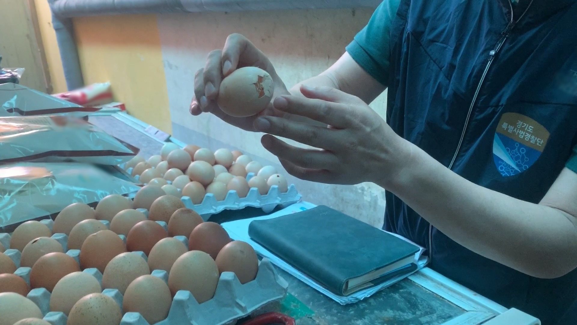 경기도특별사법경찰단소속 단속 반원이 껍질이 깨진 달걀을 살펴보고 있다. 경기도 제공