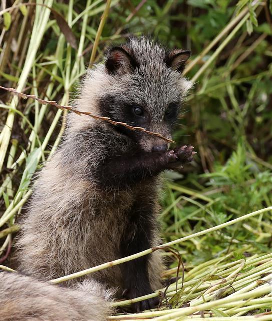 ‘이건 뭐지?’