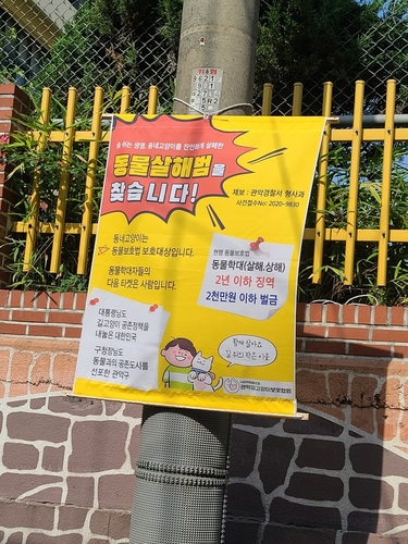 관악길고양이보호협회 제작 포스터 /관악길고양이보호협회 제공