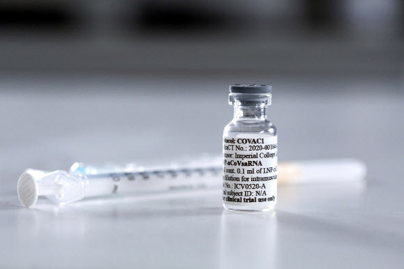 영국 임피리얼 칼리지가 개발한 코로나19 백신 후보물질.  AP 연합뉴스