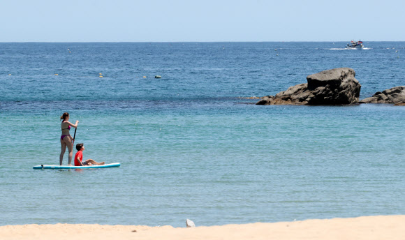 16일 강원 양양군 죽도해변에서 외국인 관광객들이 패들보드를 타고 있다. 2020.6.16  연합뉴스