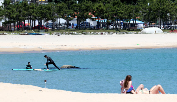 16일 강원 양양군 죽도해변에서 서퍼들이 잔잔한 파도를 타고 있다. 2020.6.16  연합뉴스