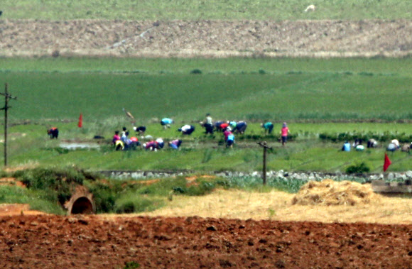 17일 인천시 강화군 평화전망대에서 바라 본 북한 황해북도 개풍군 들녘에서 북한 주민들이 농사일을 하고 있다. 북한은 지난 16일 개성 남북공동연락사무소를 폭파했다. 2020.6.17  연합뉴스