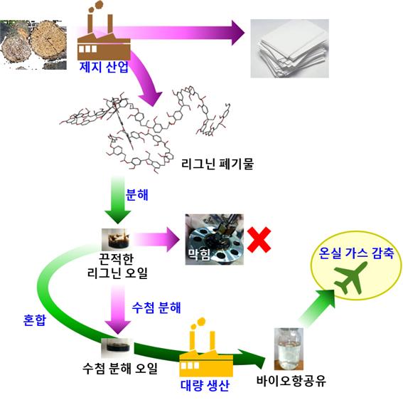 목재 폐기물 리그닌에서 바이오항공유 대량 생산하는 과정