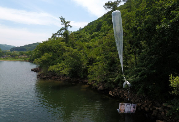 지난 22일 밤 경기 파주에서 탈북단체가 보낸 대북전단 살포용 풍선이 23일 오전 10시께 홍천군 서면 마곡리 인근 야산에 떨어져 있다. 발견된 대북전단 살포용 풍선은 2∼3m 크기로, 김정은 북한 국무위원장 일가의 사진이 부착돼 있다. 2020.6.23  연합뉴스