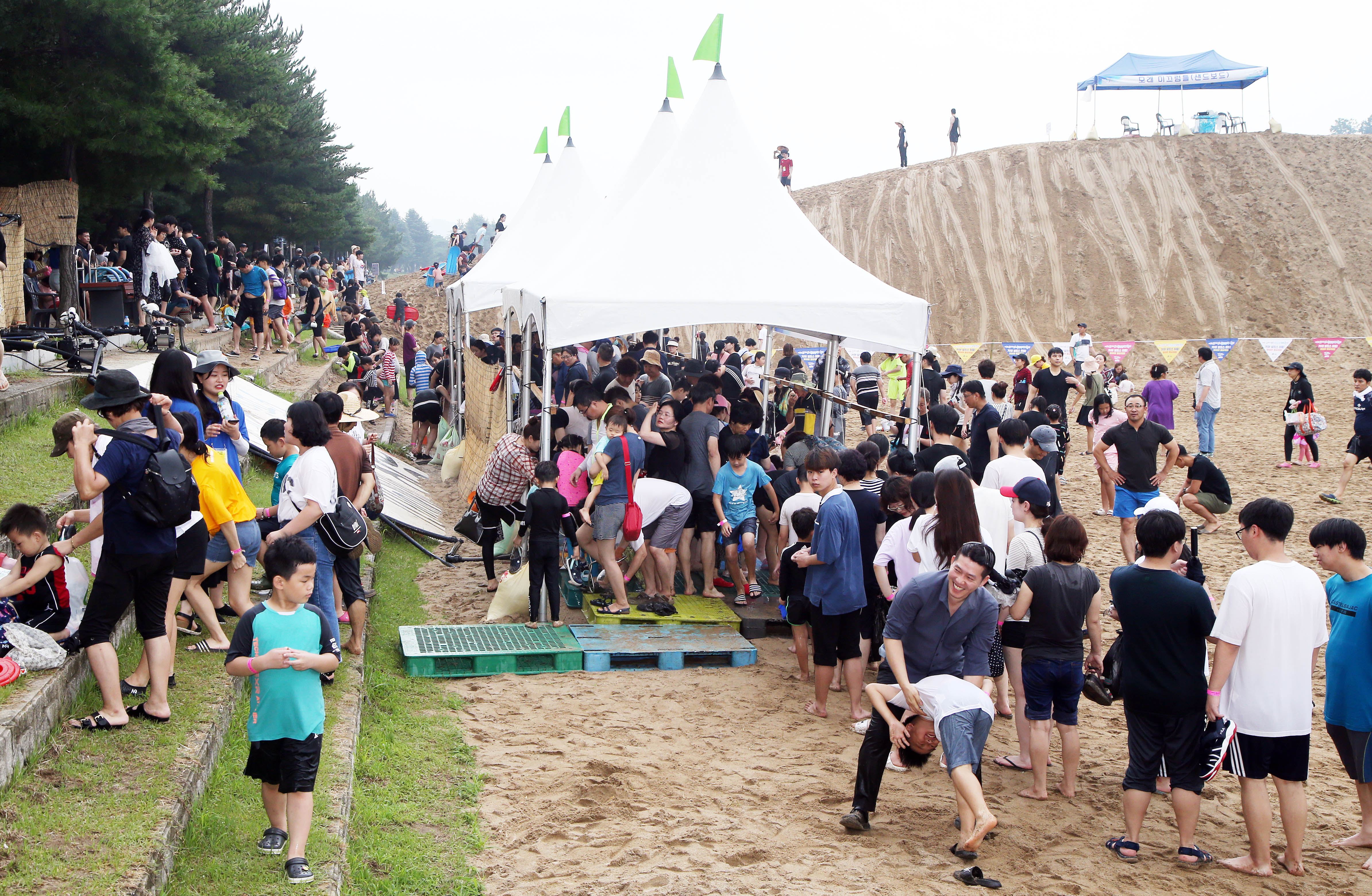 알프스하동 섬진강문화재첩 축제