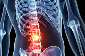 인체 중심 척추 속 척수손상 회복시키는 치료제 개발