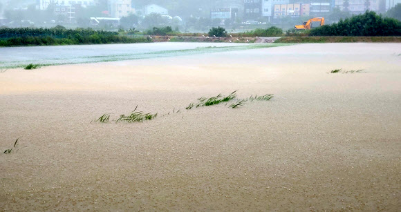 영동지방을 중심으로 많은 비가 예보된 30일 오전 강원 강릉시 외곽의 농경지가 밤새 내린 비로 잠겨 있다. 2020.6.30  연합뉴스