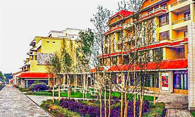 북한 노동당 기관지 노동신문은 30일 “삼지연시에서 거리와 마을에서 봇나무(자작나무)를 많이 심어 가꾸고 있다”라며 “현재 10여만 그루의 봇나무들이 곳곳에 뿌리내렸다”라고 보도했다. 신문은 “하얀 봇나무들이 나날이 늘어나는 삼지연시의 풍경은 더욱 이채를 띠고 있다”라며 “여러 가지 수종의 나무들이 배합된 것으로 하여 원림화, 수림화, 공원화에서 보다 큰 전진이 이룩되고 있다”라고 전했다. 평양 노동신문=뉴스1