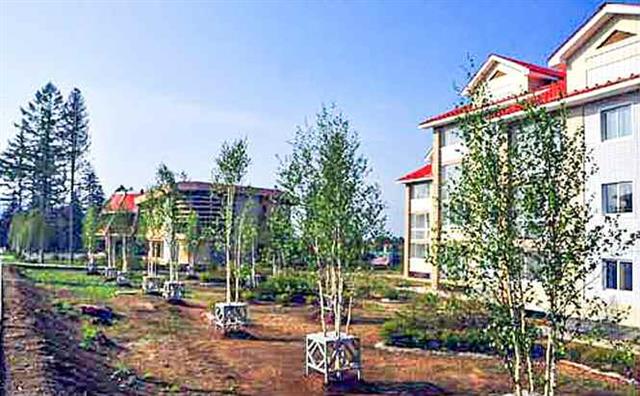 북한 노동당 기관지 노동신문은 30일 “삼지연시에서 거리와 마을에서 봇나무(자작나무)를 많이 심어가꾸고 있다”라며 “현재 10여 만 그루의 봇나무들이 곳곳에 뿌리내렸다”라고 보도했다. 신문은 “위대한 장군님께서 유달리 사랑하신 봇나무”라며 “하얀 봇나무들이 나날이 늘어나는 삼지연시의 풍경은 더욱 이채를 띠고 있다”라고 전했다. 평양 노동신문=뉴스1