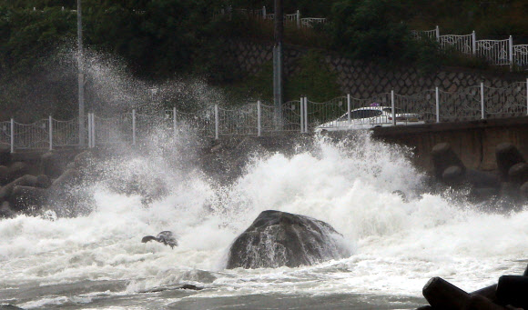 동해안에 내려진 폭풍해일 주의보로 해안가 저지대 침수가 우려되는 30일, 강원 속초시 외옹치항 도로 주변으로 파도가 몰아치고 있다. 2020.6.30  연합뉴스