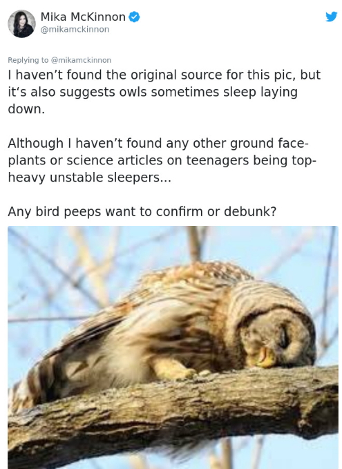 캐나다 지구물리학자 미카 맥킨논 트위터