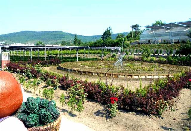 북한 노동당 기관지 노동신문은 1일 평양시 대성구역의 양묘장 현대화 사업을 조명했다. 신문은 “나무모 생산의 과학화, 공업화, 집약화를 실현할 데 대한 당의 뜻을 받들어 모체 양묘장 현대화에 큰 성과를 거두었다”라며 “특히 나무모 온실과 야외재배장에 설치된 각종 조절 장치 운영의 자동화를 전국의 본보기가 될 수 있게 완성하였다”라고 전했다. 평양 노동신문=뉴스1 ·