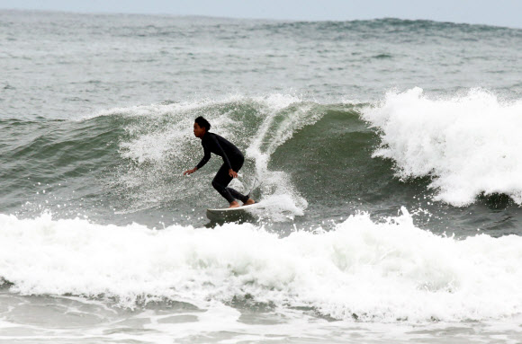 1일 경북 포항시 북구 흥해읍 용한리 앞바다에서 서퍼들이 파도를 타고 있다. 2020.7.1  연합뉴스
