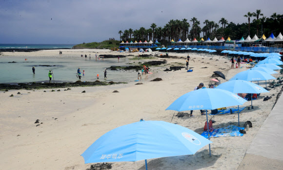 제주도 지정해수욕장 11곳이 일제히 개장한 1일 오전 제주시 금능해수욕장을 찾은 피서객들이 물놀이를 즐기고 있다. 2020.7.1  연합뉴스