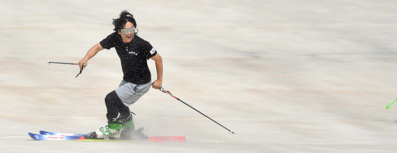 여름 스키장을 찾은 스키어가 가벼운 옷차림으로 스키를 즐기고 있다.