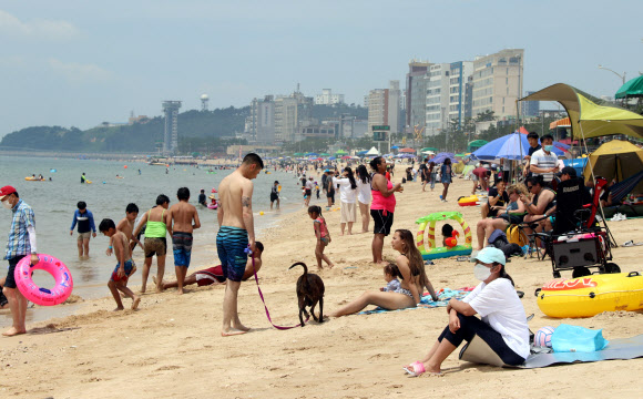 서해안 최대 대천해수욕장 개장