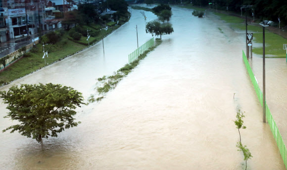 부산 또 집중호우 온천천 침수