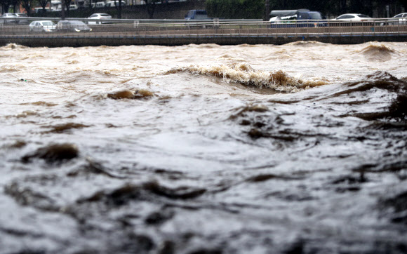 많은 비에 거세진 대구 신천