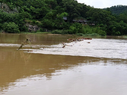 세계유산 하회마을 섶다리, 호우로 대부분 유실