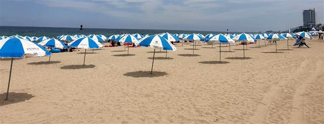 강원 강릉경포해수욕장 개장 후 첫 주말인 18일 경포해수욕장에서 파라솔이 2m 간격으로 설치돼 있다. 2020.7.18 뉴스1