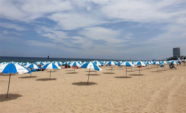 강원 강릉경포해수욕장 개장 후 첫 주말인 18일 경포해수욕장에서 파라솔이 2m 간격으로 설치돼 있다. 2020.7.18 뉴스1