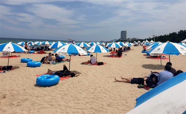 강원 강릉 경포해수욕장 개장 후 첫 주말인 18일 경포해수욕장에서 파라솔이 2m 간격으로 설치돼 있다. 2020.7.18 뉴스1