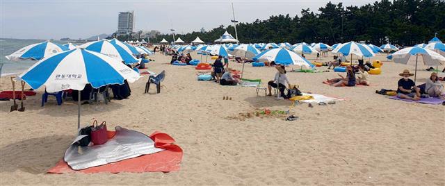 강원 강릉경포해수욕장 개장 후 첫 주말인 18일 경포해수욕장에서 파라솔이 2m 간격으로 설치돼 있다. 2020.7.18 뉴스1