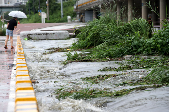 물 넘친 산책로