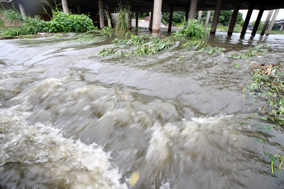 서울 동북권에 호우주의보