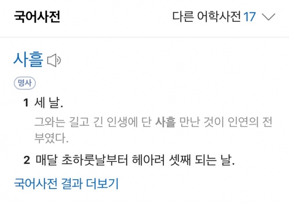 네이버 국어사전 캡처