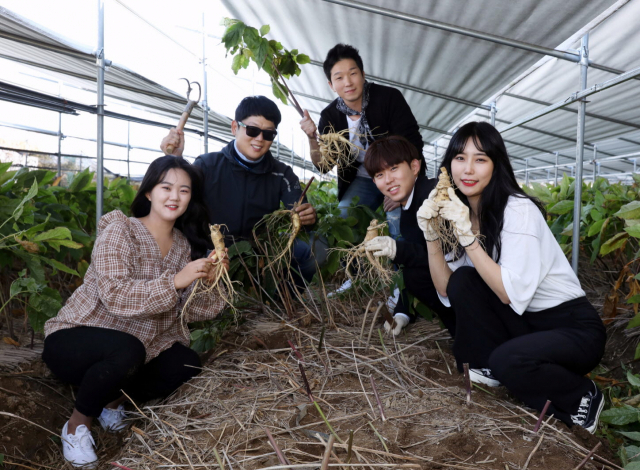 영주풍기인삼축제 인삼캐기 체험에 참가한 관광객들이 직접 채취한 인삼을 들고 포즈를 취했다. 영주시 제공  
