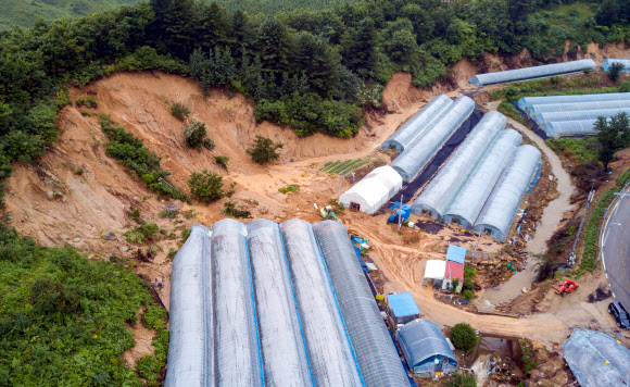 지난 23일부터 연사흘 쏟아진 폭우에 강원 고성지역에서도 크고 작은 피해가 속출한 가운데 26일 간성읍 흘리지역에서 비닐하우스 단지로 쏟아져 내린 흙더미를 치우는 작업이 진행되고 있다. 2020.7.26  고성군청 제공