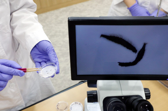 28일 오전 서울시청에서 상수도사업본부 관계자들이 기자회견 전 수돗물 유충 샘플을 준비하고 있다. 서울시는 수돗물 유충 민원은 정수과정이 아닌 외부요인에 의한 것이라고 밝혔다. 2020.7.28  연합뉴스