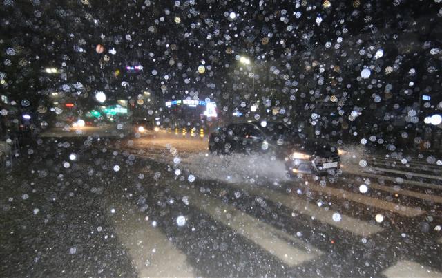 대전지역 호우경보