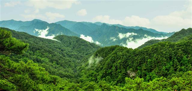 북한 노동당 기관지 노동신문은 30일 “천하명승 묘향산 지구가 더욱 훌륭히 꾸려졌다”며 평안북도 묘향산을 조명했다. 이에 따르면 북한은 최근 ‘묘향산지구 꾸리기 사업’을 통해 인근에 도로를 포장하고 곳곳에 쉼터를 가꿔 이용자들의 편의를 높였다. 평양 노동신문=뉴스1